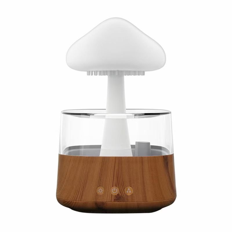 Rain Cloud Humidifier
