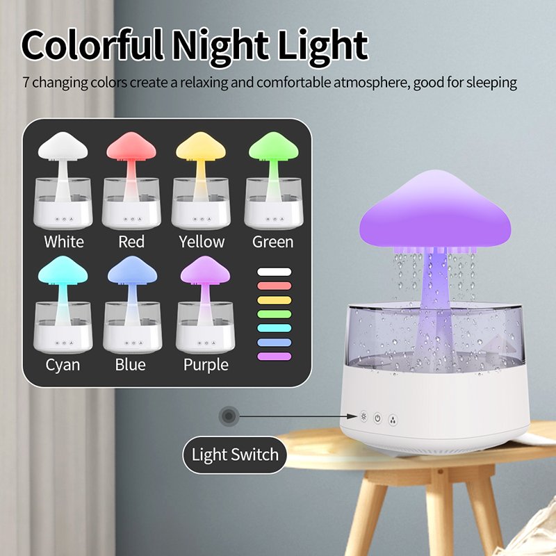 Rain Cloud humidifier
